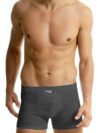ΑΝΔΡΙΚΟ  BOXER 95%Β+5%Ε ΜΕ ΜΠΑΝΤΑ - Image 2