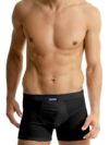ΑΝΔΡΙΚΟ BOXER 95%Β+5%Ε ΜΕ ΜΠΑΝΤΑ - Image 5